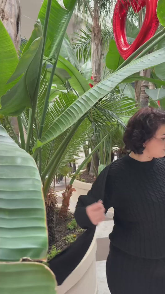 🖤 Set 2 pjesesh + shall  – Ngjyrë e Zezë